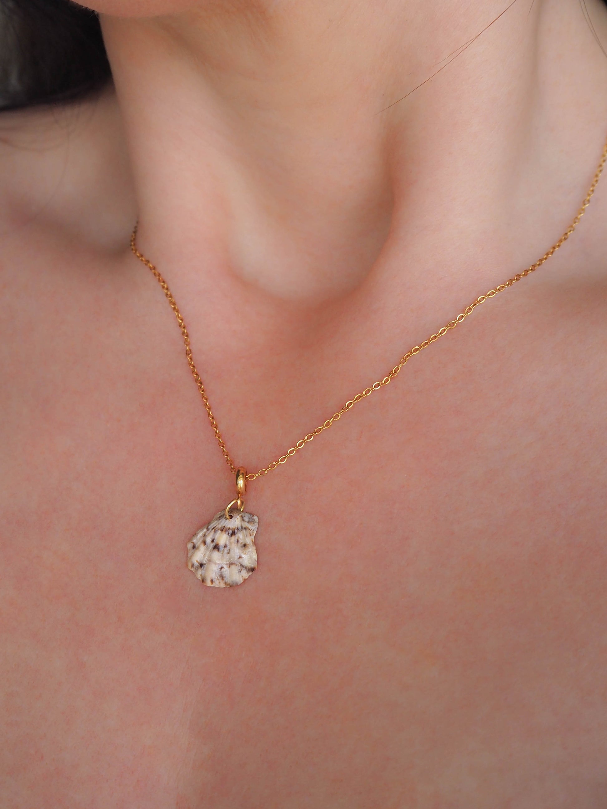 Model wearing Scallop Shell Gold Necklace, Real Shell from Algarve, Portugal. Scallop Shell Necklace, Stainless Steel chain, Cheetah Colors