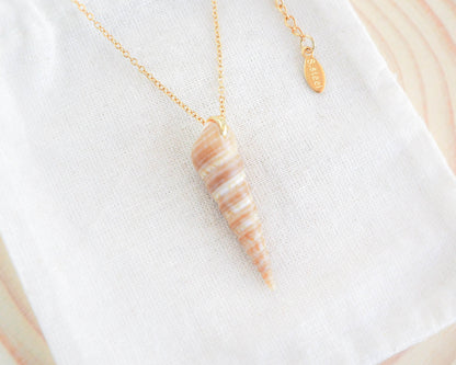 Gold Common Tower Shell Necklace on display, Real Shell from Portugal