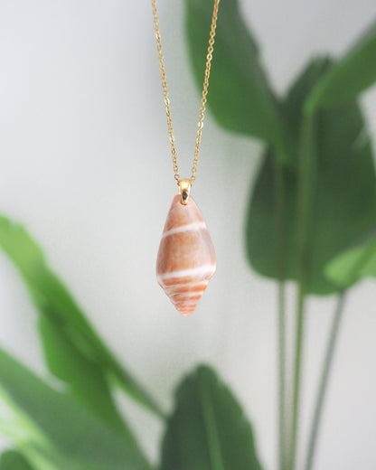 Cone Shell Gold Necklace Stainless Steel, Ocean Inspired Jewelry, Coastal Style