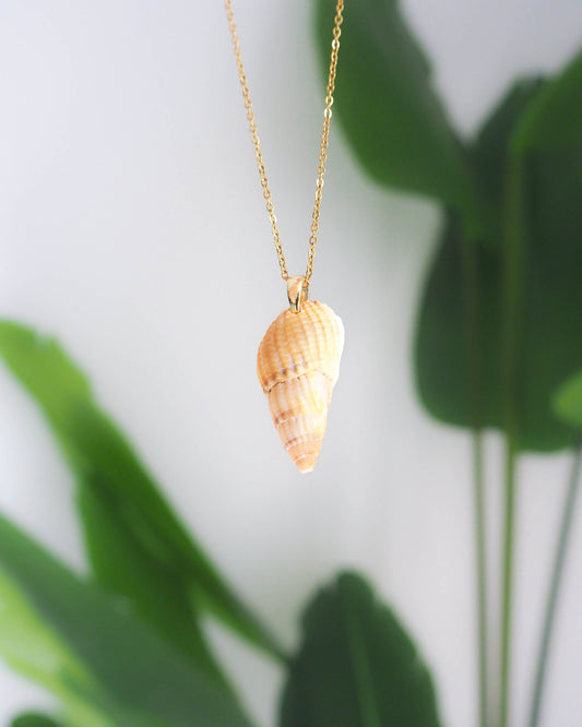 Netted Dogwhelk Shell Gold Necklace, Real Shell Jewelry from Portugal, Sea by Lou - Ocean Inspired