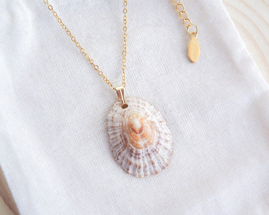 Gold Rustic Limpet Shell Necklace, Ocean Inspired Jewelry, Sea by Lou