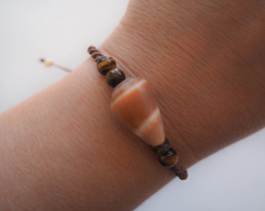 Close-up of Portuguese Cone Shell Bracelet with Gold Braided Cord and Tiger's Eye Gemstone Beads, Seabylou, Shells from Portugal