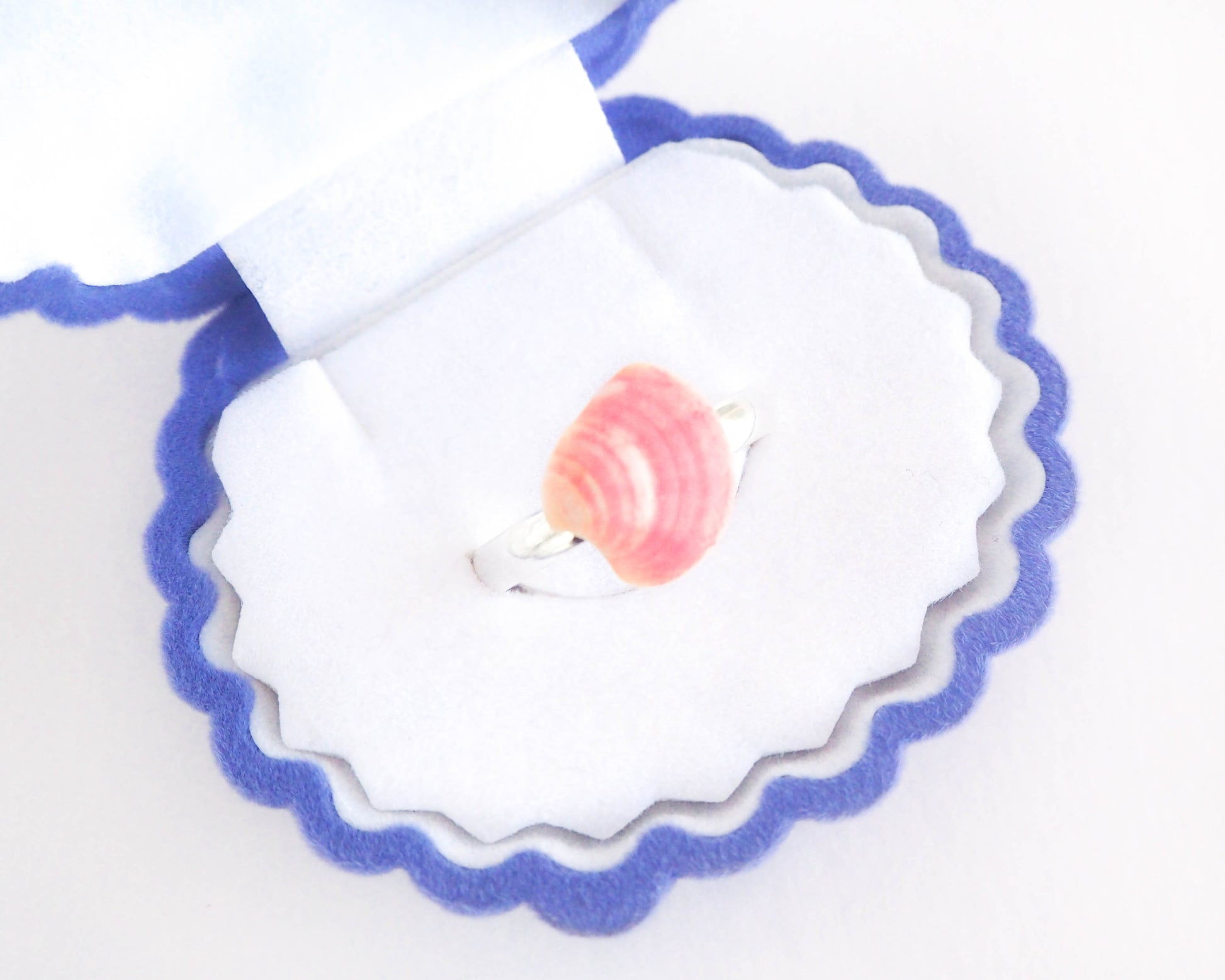 Real Pink Shell Ring in Box, Venus Shell Ring, adjustable ring on display, mini seashell ring, shell from portugal, beach girl gift from portugal, seabylou