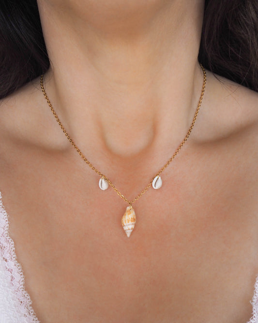 Model wearing Shell Necklace: Cowrie Shell  and Rustic Dove Shell on Gold Stainless Steel Necklace, Coastal Jewelry from Portugal