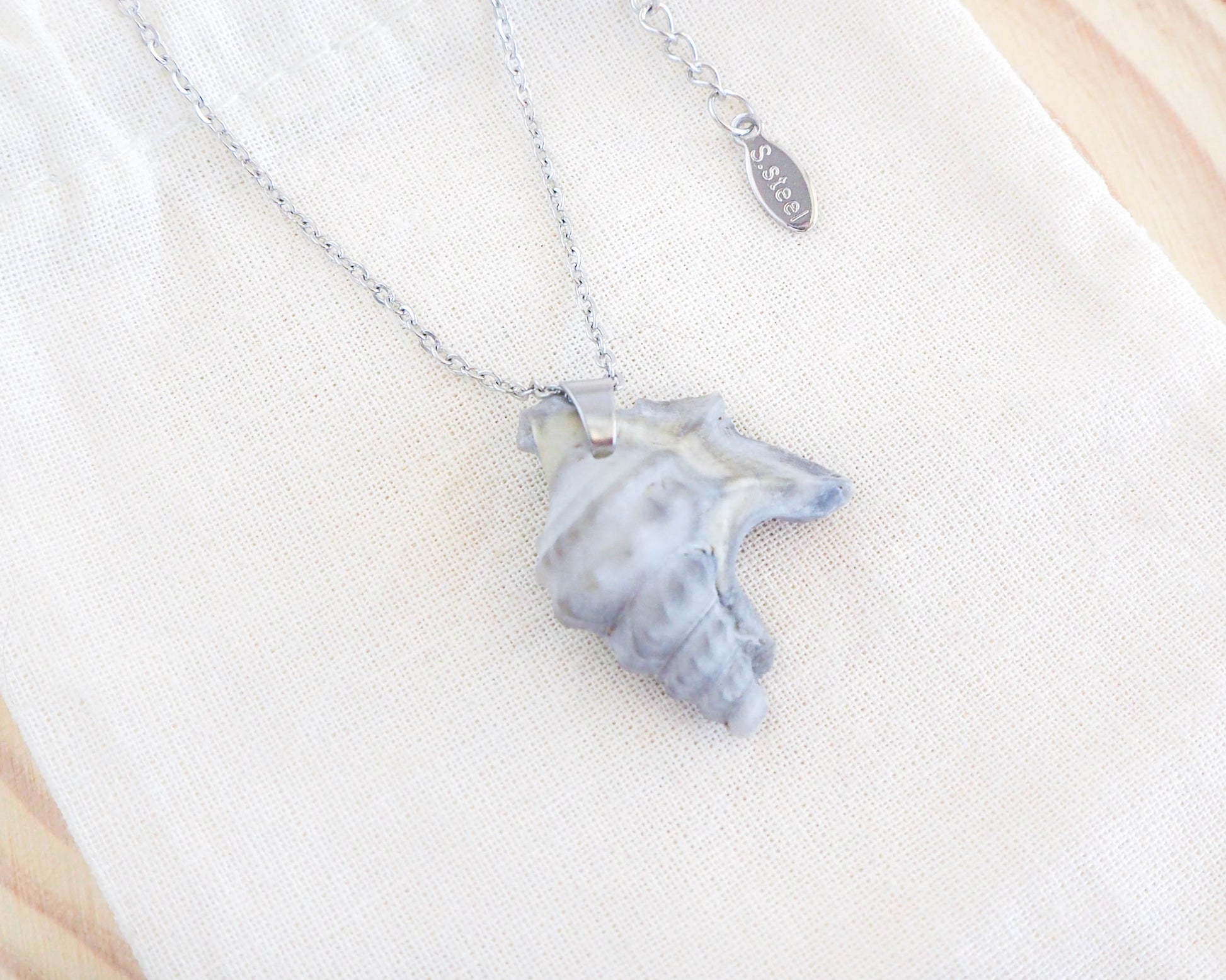 Silver Necklace with Pelican Foot Shell, Real Shell from Algarve, Portugal, Stainless Steel chain, Ocean Inspired Jewelry, Seabylou