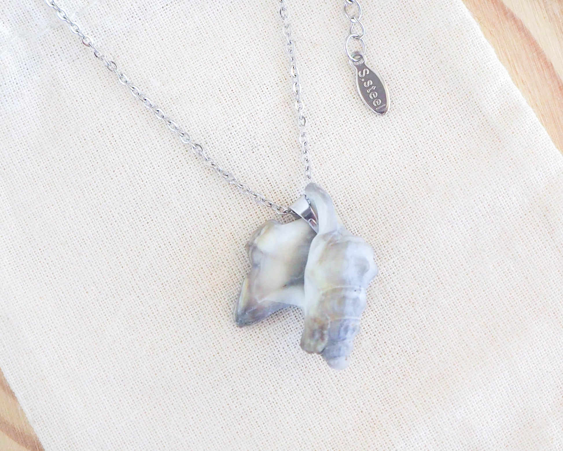 Silver Grey Pelican Foot Shell Necklace, Real Shell from Algarve, Portugal, Stainless Steel chain, Ocean Inspired Jewelry, Seabylou