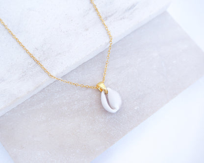 Gold necklace with a tiny white cowrie pendant on a light gray background. Tiny Cowrie Shell Gold Necklace, European Cowrie Shell Necklace, Trivia monacha shell, Portuguese cowrie shell jewelry