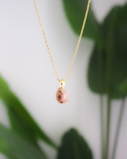 SEASHELL NECKLACE ~ Gold Cowrie Shell