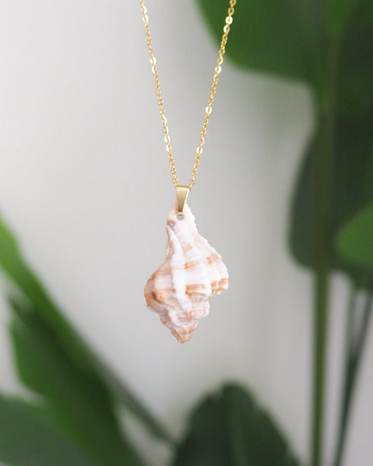 SEASHELL NECKLACE ~ Gold Murex Shell