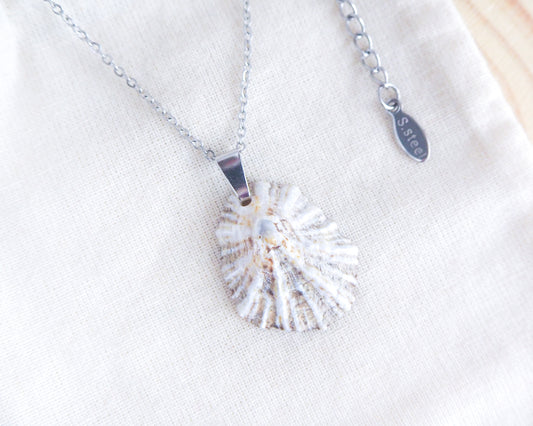 Silver Limpet Shell Necklace on display, Real Shell Necklace, Sea by Lou jewelry