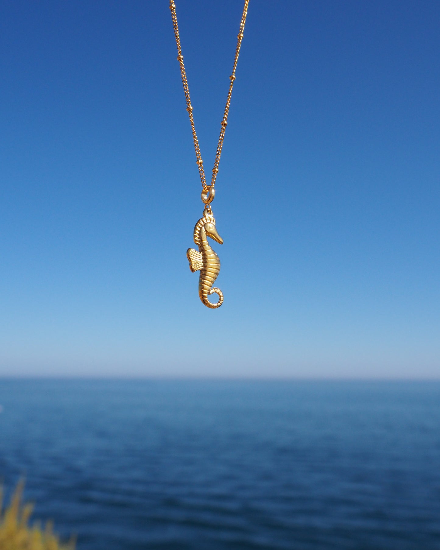 Gold seahorse necklace against a blue sky and ocean background. A gold chain necklace with a gold seahorse pendant. The seahorse is detailed with textured scales and a curled tail. Materials are 18k gold stainless steel. Seahorse Jewelry, Sea by Lou, Seabylou