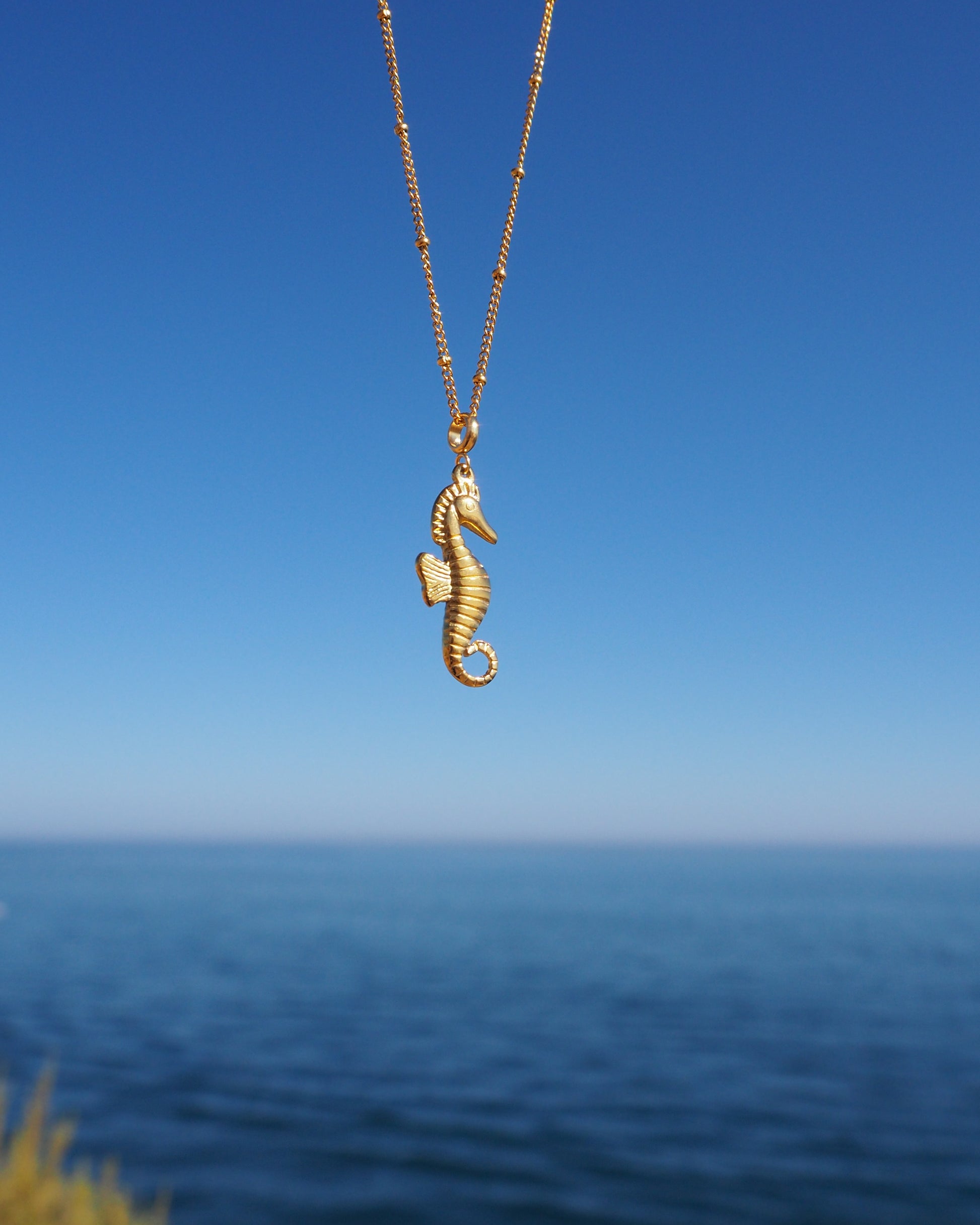 Gold seahorse necklace against a blue sky and ocean background. A gold chain necklace with a gold seahorse pendant. The seahorse is detailed with textured scales and a curled tail. Materials are 18k gold stainless steel. Seahorse Jewelry, Sea by Lou, Seabylou