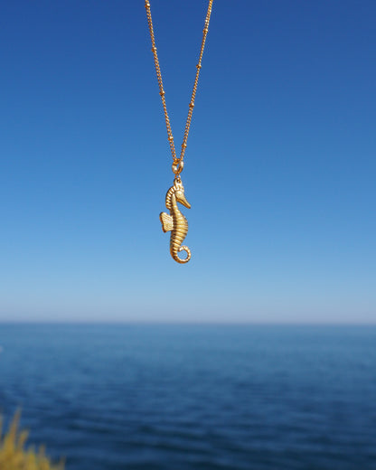 Gold seahorse necklace against a blue sky and ocean background. A gold chain necklace with a gold seahorse pendant. The seahorse is detailed with textured scales and a curled tail. Materials are 18k gold stainless steel. Seahorse Jewelry, Sea by Lou, Seabylou