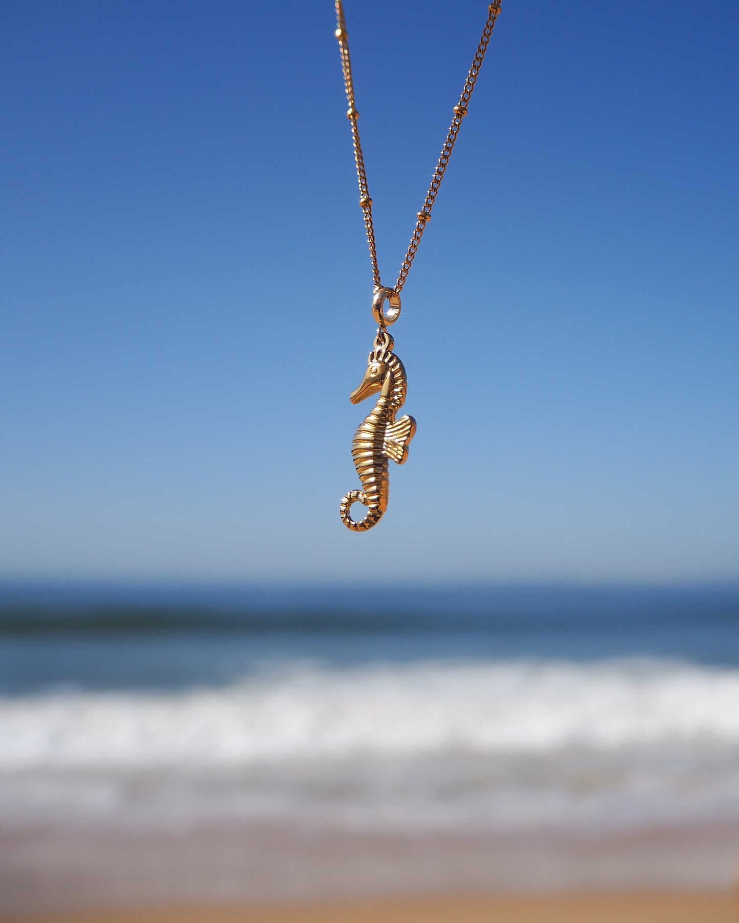 Gold seahorse necklace against a blue sky and ocean background. A gold chain necklace with a gold seahorse pendant. The seahorse is detailed with textured scales and a curled tail. Materials are 18k gold stainless steel. Seahorse Jewelry, Sea by Lou, Seabylou