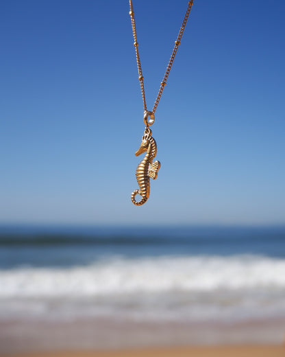 Gold seahorse necklace against a blue sky and ocean background. A gold chain necklace with a gold seahorse pendant. The seahorse is detailed with textured scales and a curled tail. Materials are 18k gold stainless steel. Seahorse Jewelry, Sea by Lou, Seabylou
