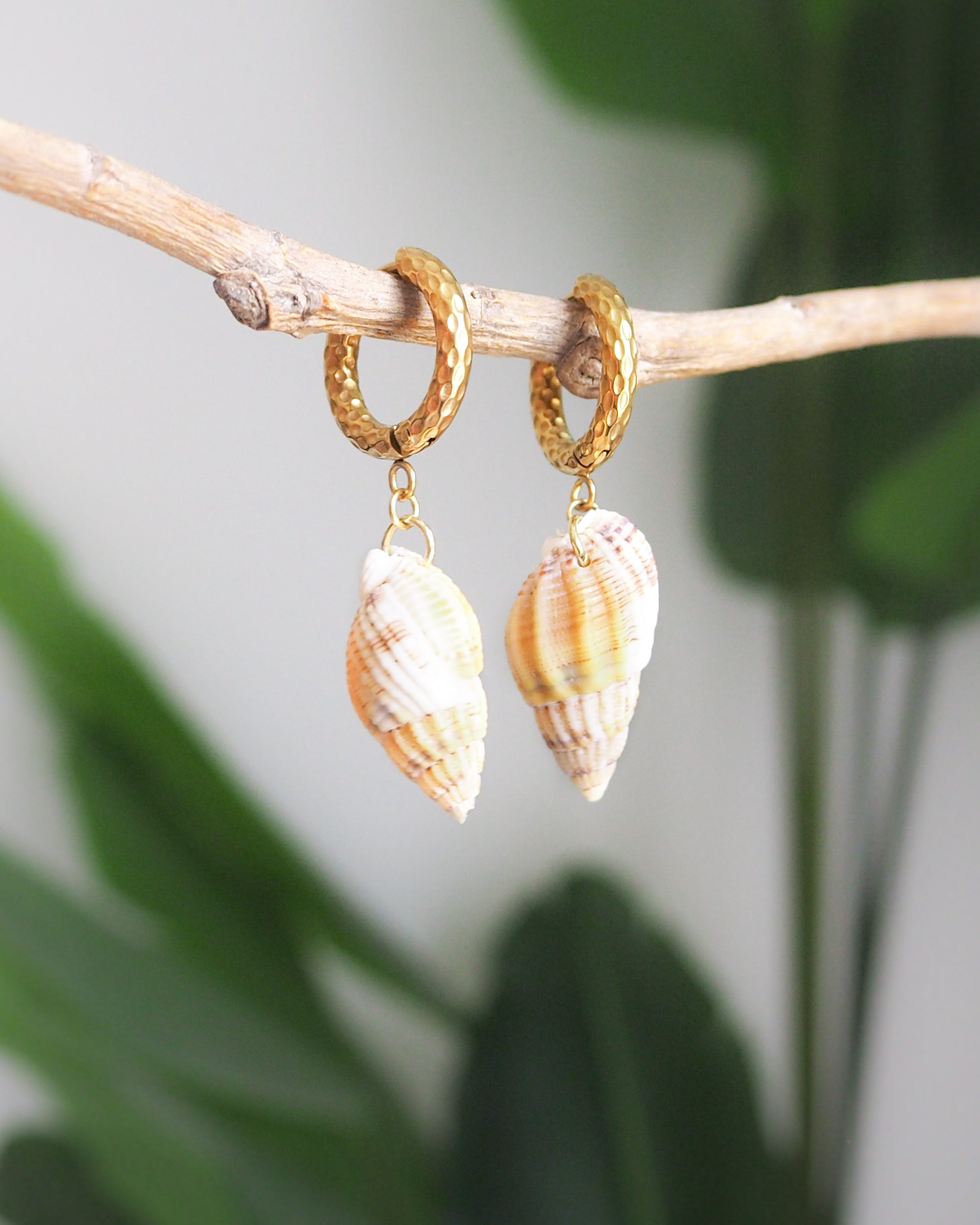 Gold Netted Dogwhelk Shell Earrings with Gold Hoop Hooks front view