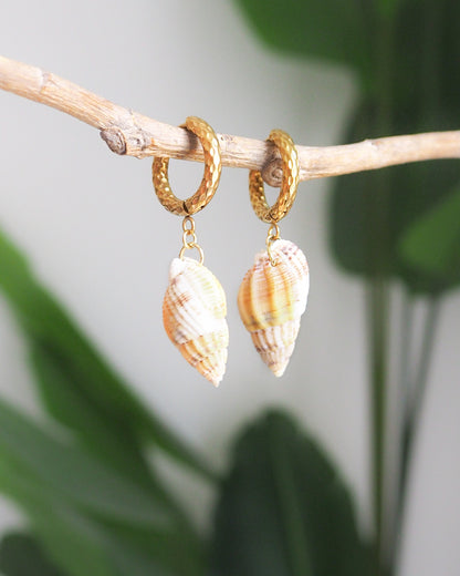 Gold Netted Dogwhelk Shell Earrings with Gold Hoop Hooks front view
