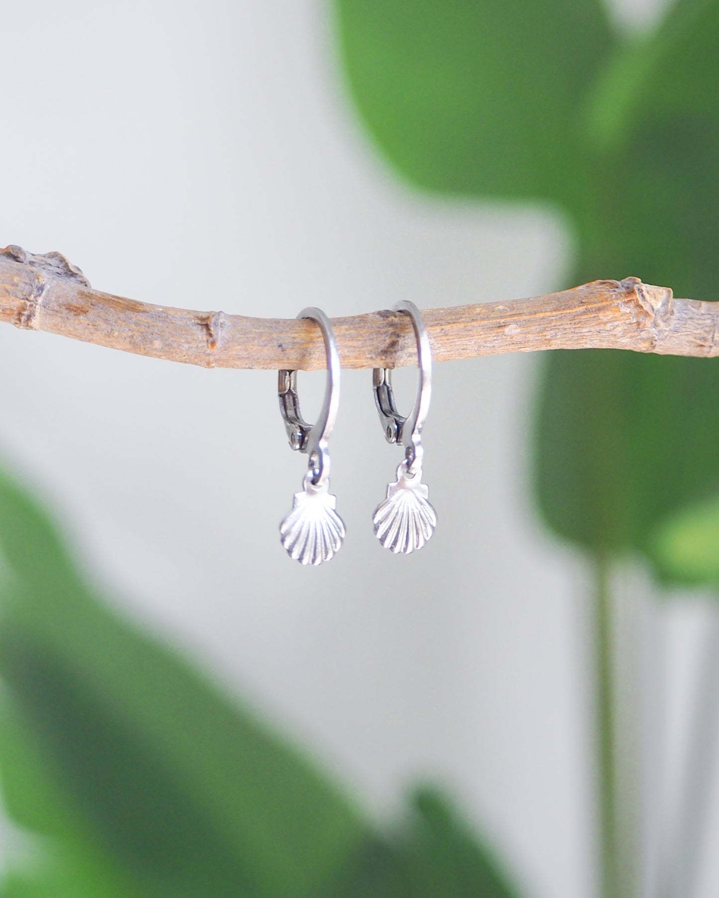 Silver hoop earrings with shell designs hanging on a branch against a blurred green background