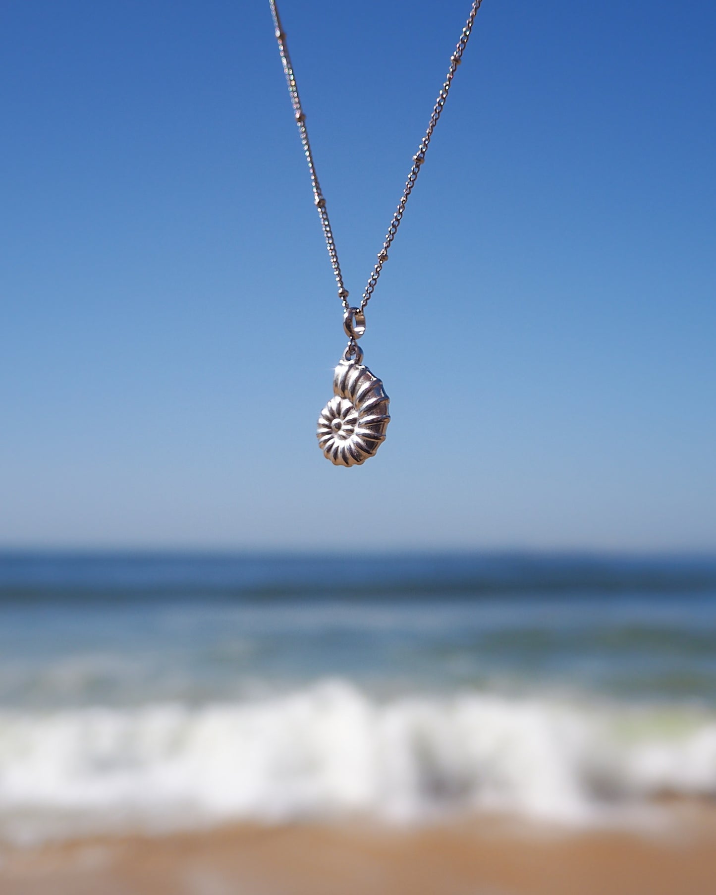 Silver Nautilus Shell Necklace with ocean background
