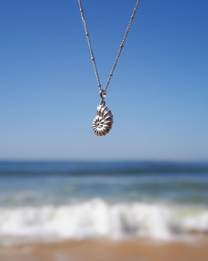 Silver Nautilus Shell Necklace with ocean background
