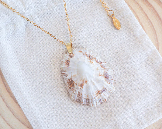 Gold Limpet Shell Necklace on display with Gold Stainless Steel Chain, Ocean Inspired Jewelry, Sea by Lou