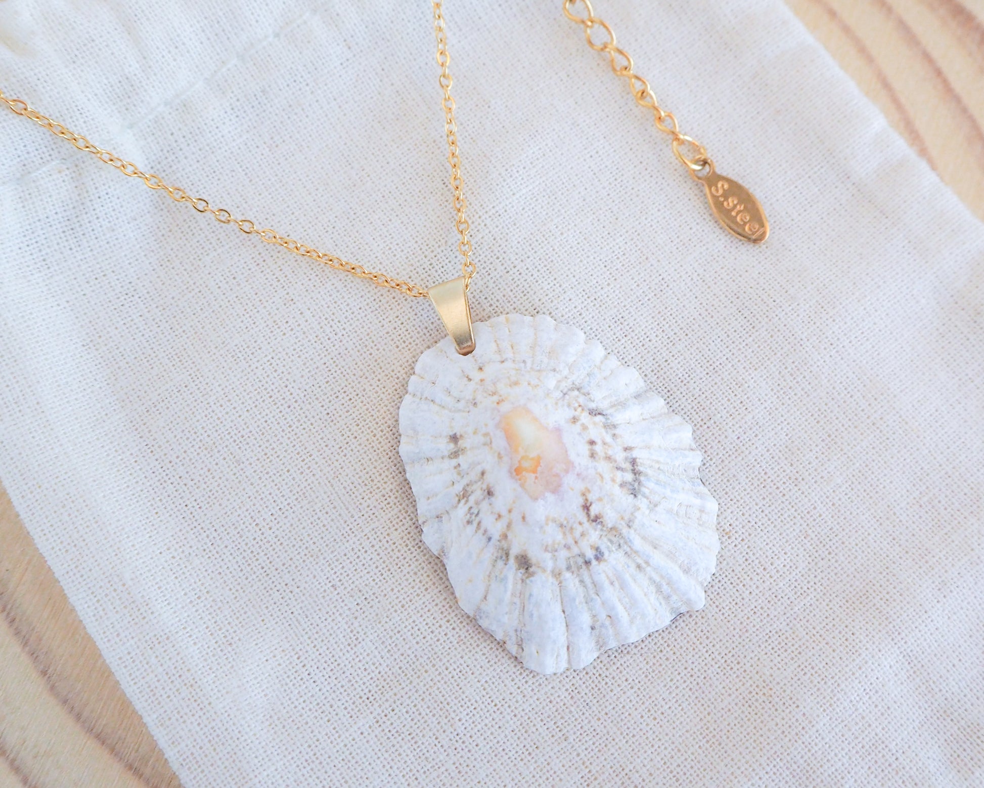 Limpet Shell IV Necklace with Gold Stainless Steel Chain on display