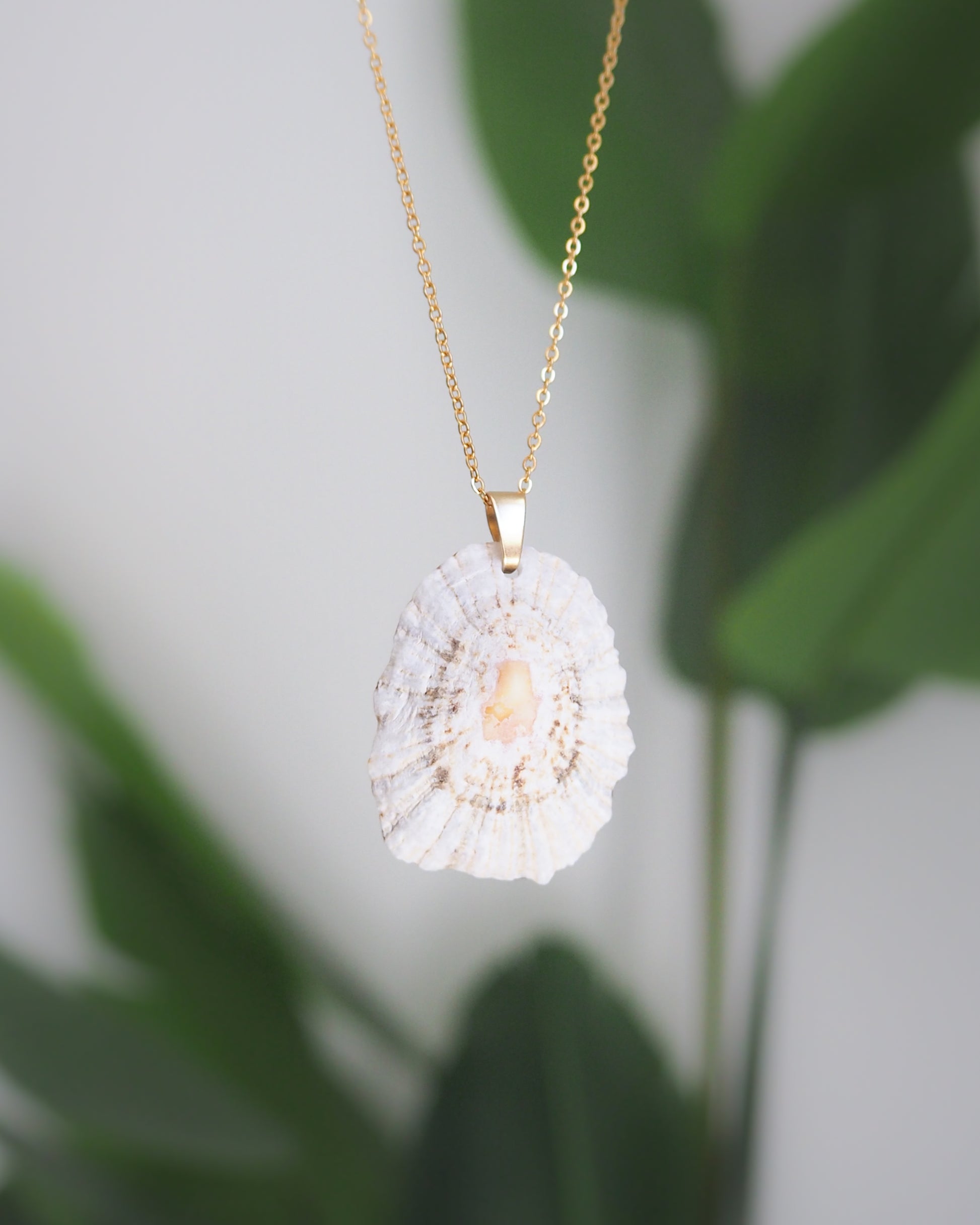 Limpet Shell IV Necklace with Gold Stainless Steel Chain