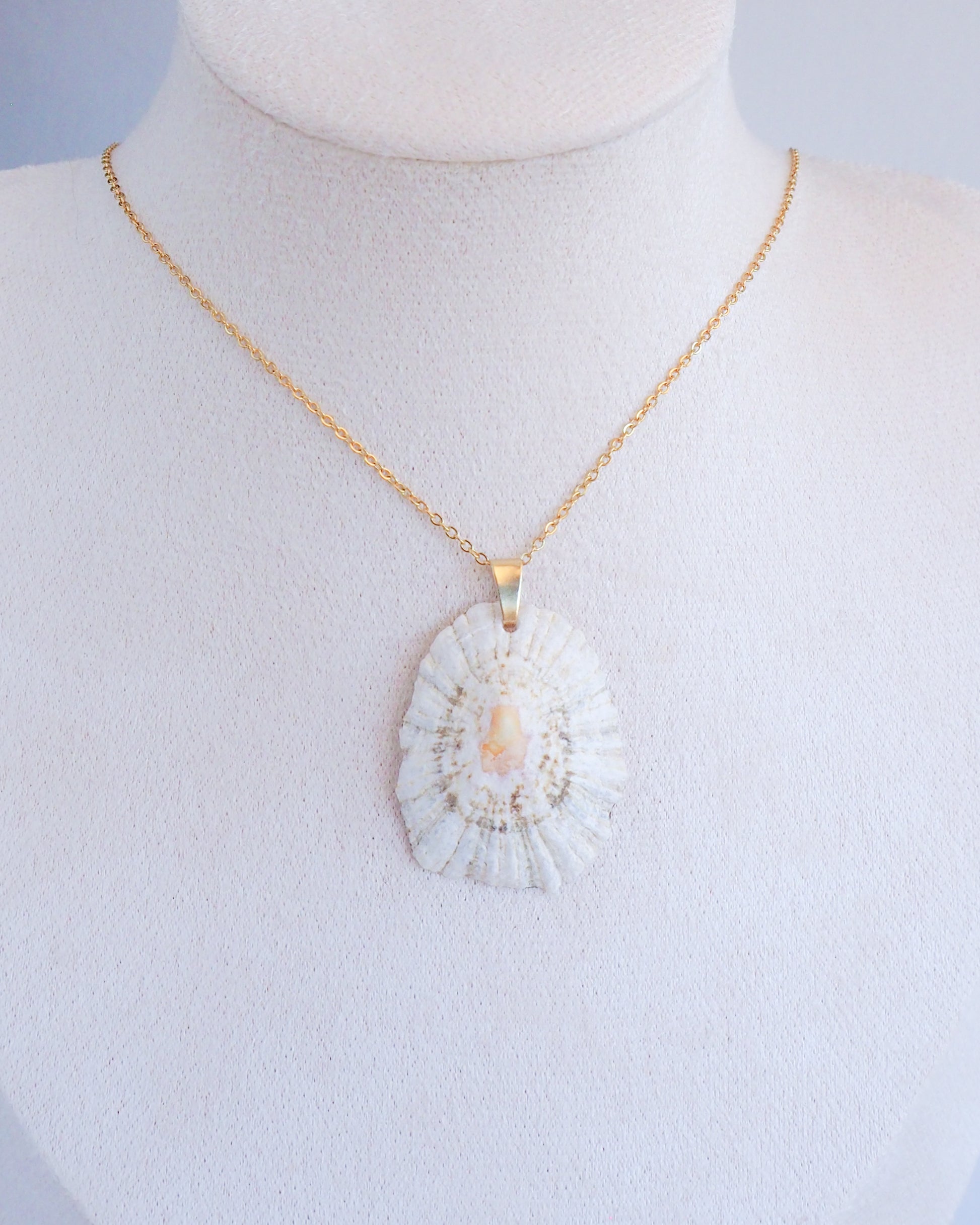 Limpet Shell IV Necklace with Gold Stainless Steel Chain on neck 