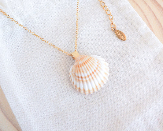 SEASHELL NECKLACE ~ Gold Mediterranean Cockle Shell II