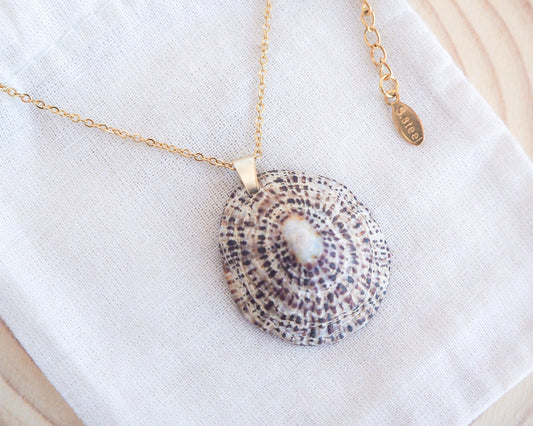Rustic Limpet Shell Gold Necklace on display, Ocean Inspired Jewelry, Sea by Lou