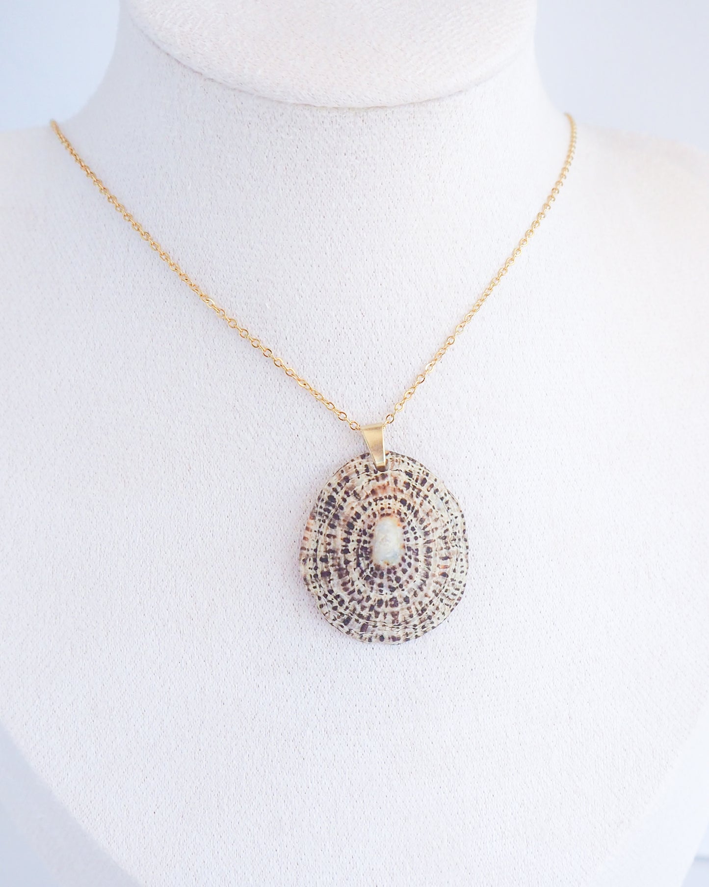 Rustic Limpet Shell Gold Necklace on neck model, Ocean Inspired Jewelry, Sea by Lou