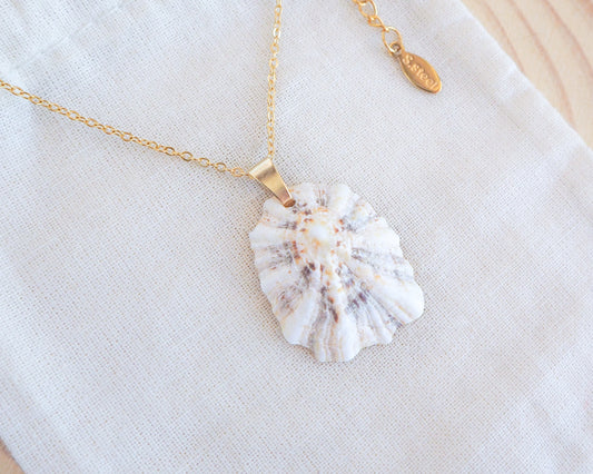 Limpet Shell V Necklace with Gold Stainless Steel Chain on display