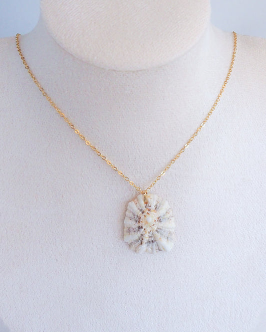 Limpet Shell V Necklace with Gold Stainless Steel Chain on neck 
