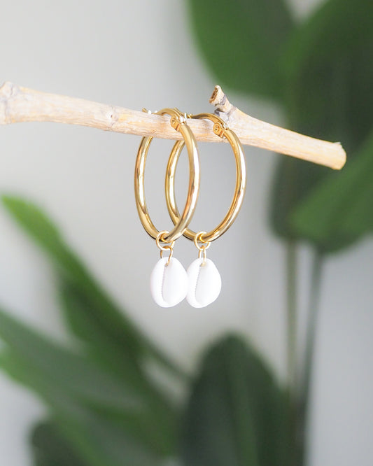 COWRIE SHELL EARRINGS ~ Gold Hoops