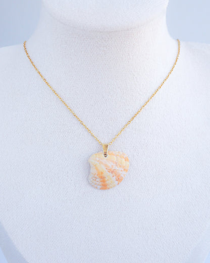 Summer Sun Venus Shell Necklace from Algarve Portugal on neck