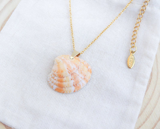 Summer Sun Venus Shell Necklace from Algarve Portugal side view