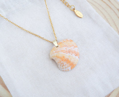 Summer Sun Venus Shell Necklace from Algarve Portugal on display