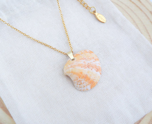 Summer Sun Venus Shell Necklace from Algarve Portugal on display