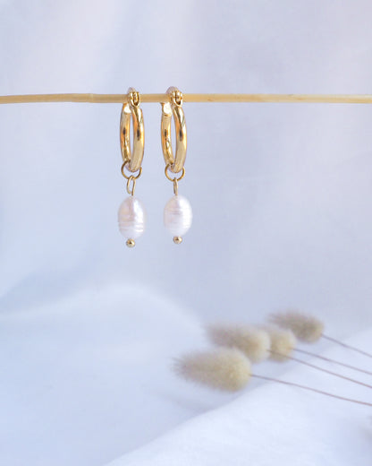 GOLD PEARL EARRINGS - Ivory