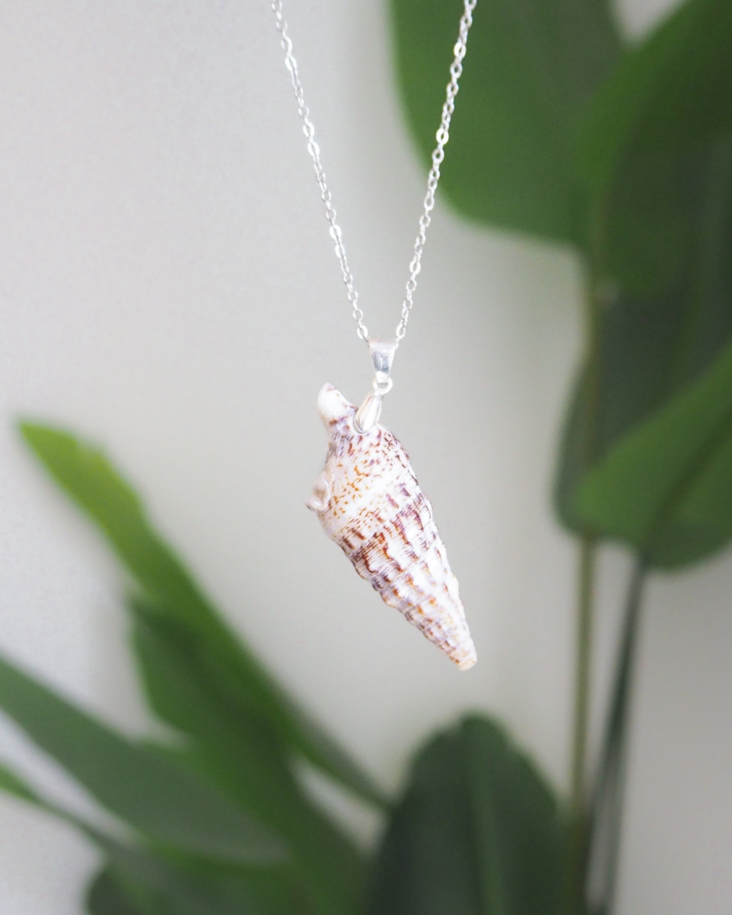SEASHELL NECKLACE ~ Silver Horn Shell