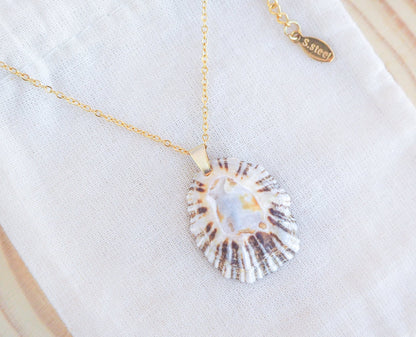 SEASHELL NECKLACE ~ Blue Striped White Limpet Shell