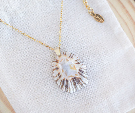 A necklace with a rough limpet shell pendant, featuring black and white stripes around the edge and a blue center, attached to a gold-colored chain.