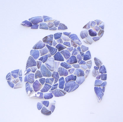 Seashell Turtle || Tartaruga ~ Blue II
