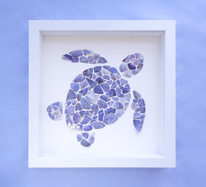 Seashell Turtle || Tartaruga ~ Blue II