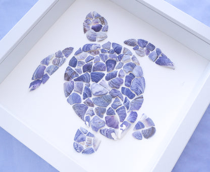 Seashell Turtle || Tartaruga ~ Blue II