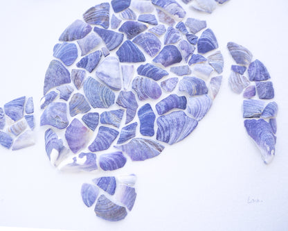 Seashell Turtle || Tartaruga ~ Blue II