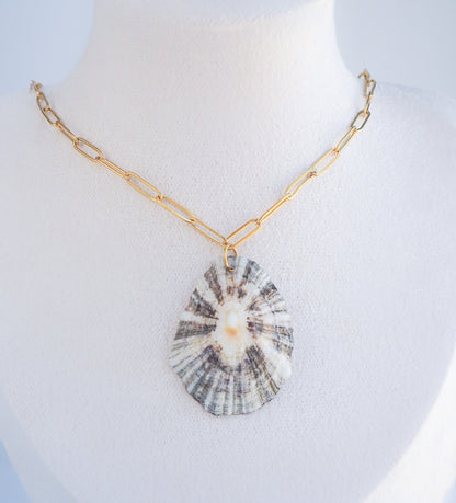 SEASHELL NECKLACE ~ Big Zebra Limpet Shell