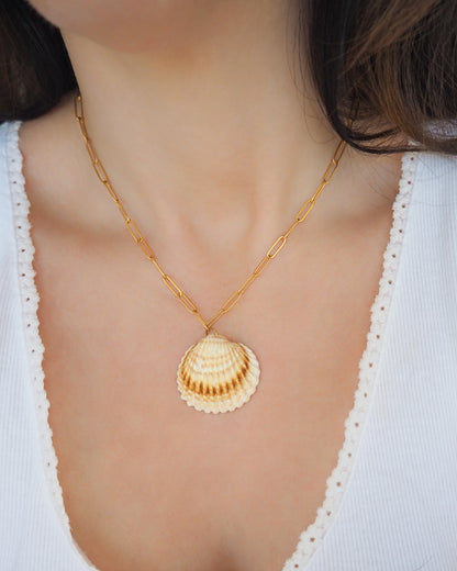 SEASHELL NECKLACE ~ Big Mediterranean Cockle Shell