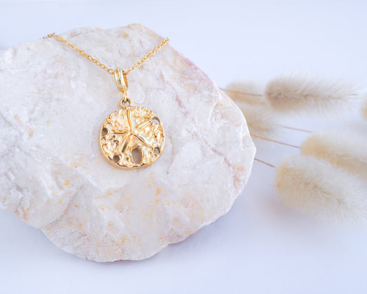 Sand Dollar Necklace Gold Chain on stone display