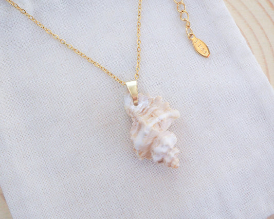 Gold Sting Winkle Shell Necklace from Portugal on display
